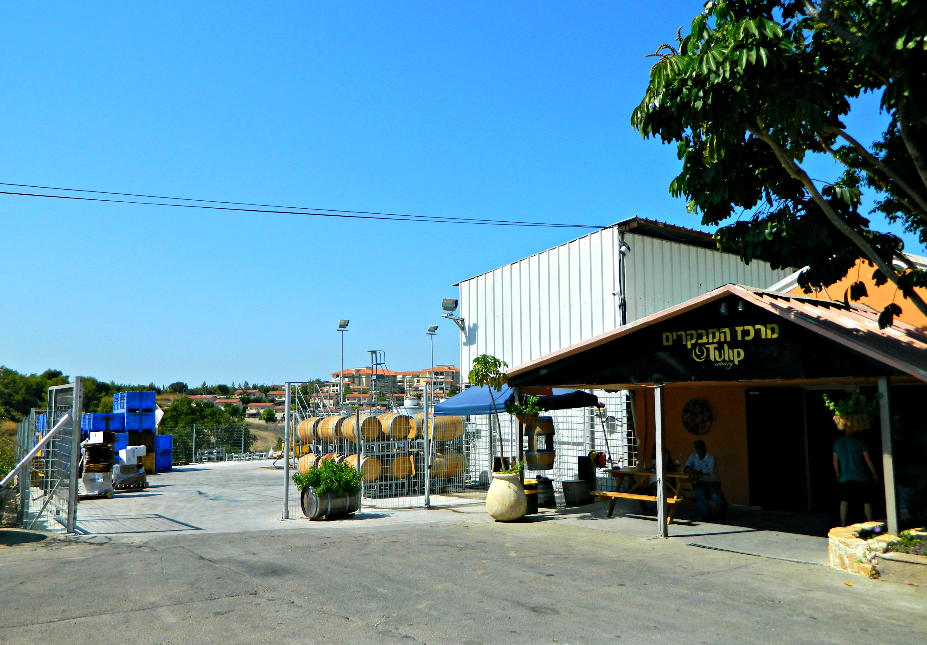 Tulip winery