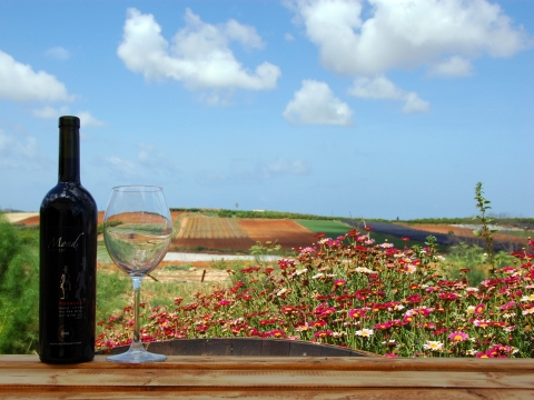  Mund Winery