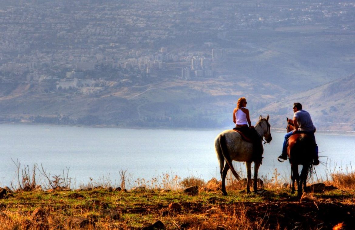 Vered Hagalil Guest Farm