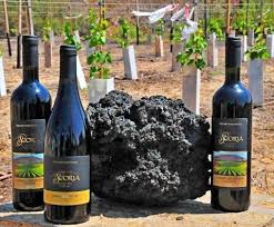 Scoria winery