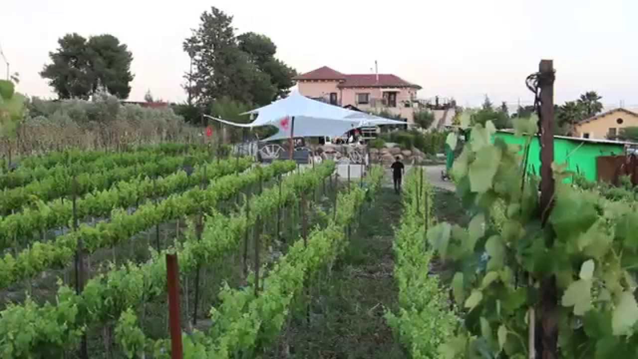 יקב
