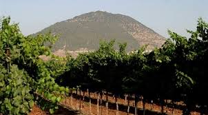 Tabor Winery 